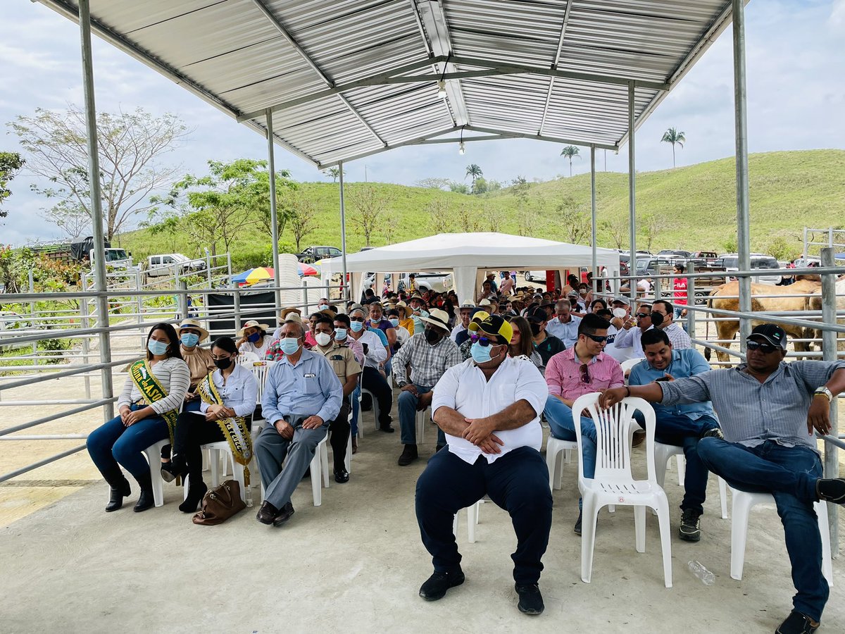 RodrigoMenaR's tweet photo. Inauguración de Feria de Comercialización de ganado en Chibunga, junto a mis hermanos ganaderos de Chibunga logramos ese anhelo para el sector ganadero de esta importante zona Manabita. #ManabíUnido #UnSoloPuño https://t.co/C0i5KIuuHv