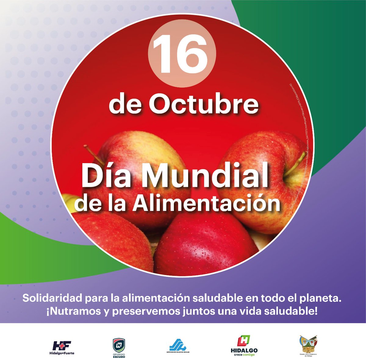 CBTa67Oficial's tweet photo. Día Mundial de la Alimentación 🍎🍐🥬🥦
Una celebración promovida por la Organización de las Naciones Unidas para la Agricultura y la Alimentación (FAO), con el claro objetivo de disminuir el hambre en el mundo. 💚
#CBTa67
#DGETAyCM
#Hidalgo https://t.co/GQ5rxFDE8r