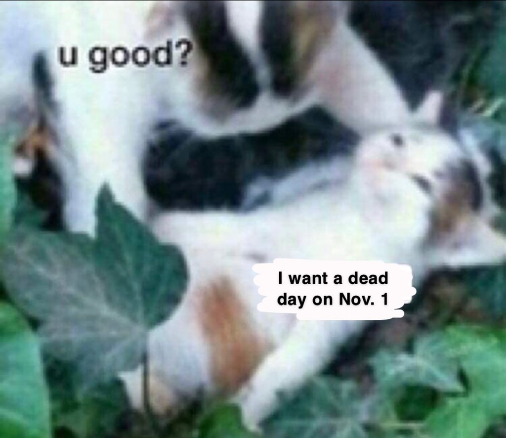 pLEASE