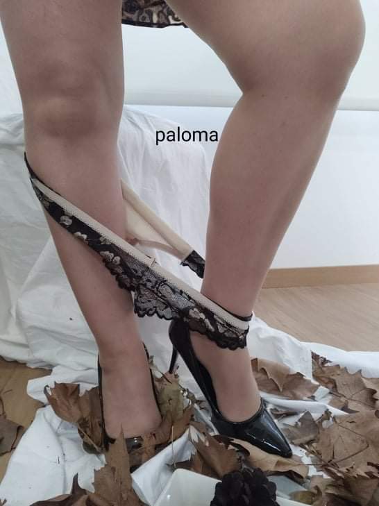 PalomaGarcaMar2's tweet photo. https://t.co/Fwh0skNp3w
