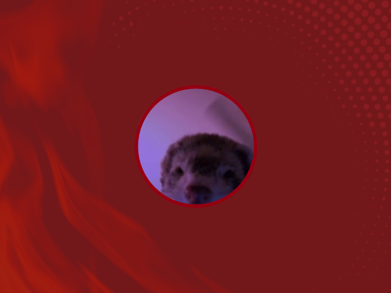 🦅 Flux Gang 🦅 tweet media
