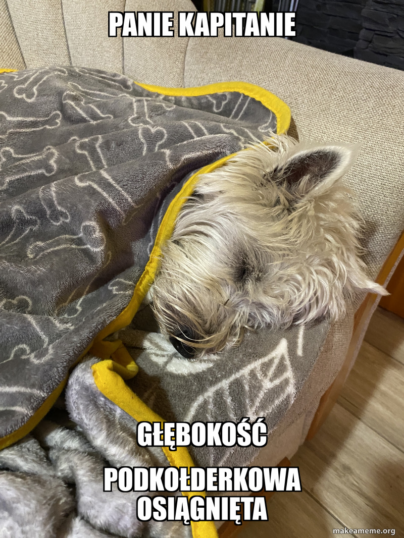 Dawid Dyrcz🕹 ➡️ bejtz.bsky.social tweet media