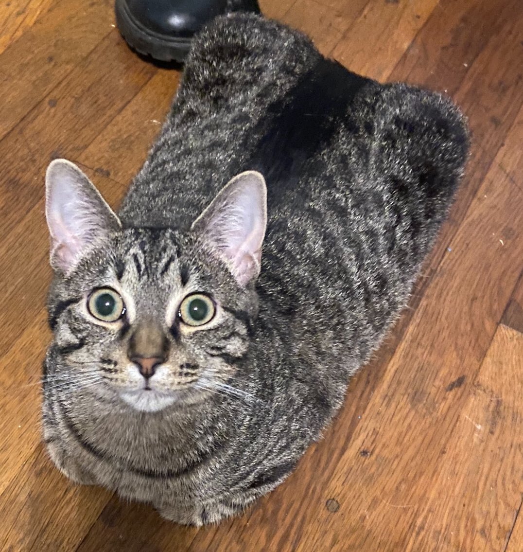 HelpMeSeeBeauty's tweet image. rotisserie chicken