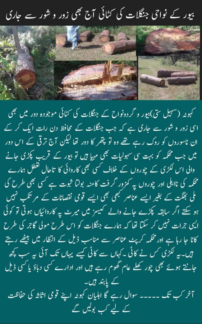 Raja Mumtaz tweet media