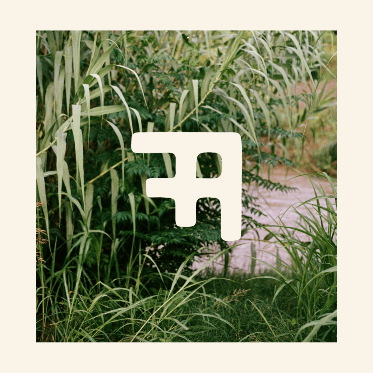 We're two weeks from celebrating the fine folks that make our Austin food system special! Join us at Field Guide Fest on Saturday, October 30th at the All-Day Grazing event where farmers and chefs will present their dishes together. 👨‍🌾 Tickets available at fieldguidefest.com