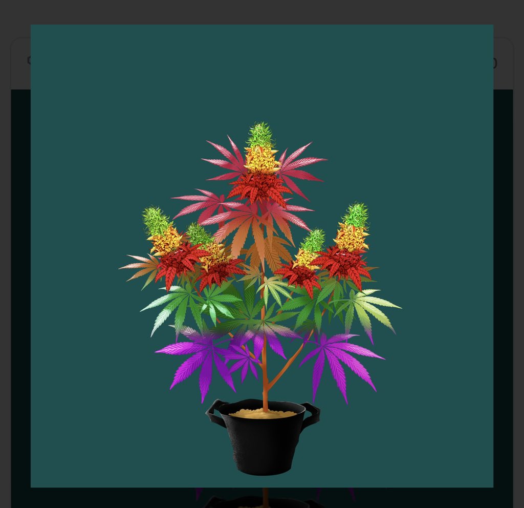 GIVEAWAY!
IM TRIPLING THE DEAL AND GIVING AWAY TWO <a href="/CryptoCannaClub/">Crypto Cannabis Club</a>  PLANTS AS WELL. 

RETWEET , FOLLOW AND TAG TWO HOMIES WHO NEED SOME PLANTS.

All current entries are still valid but if you can tag some people who need some plants LETS GROW BABY
@coffee_blunts @Rare_NFTs