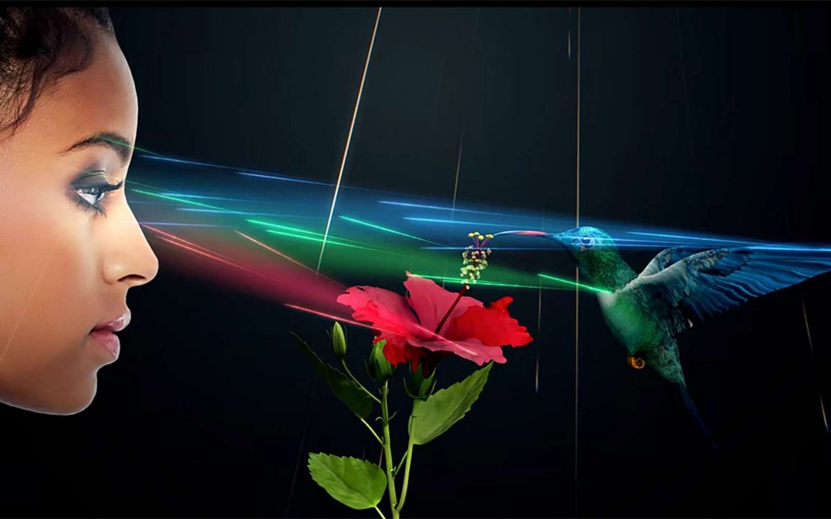 AgencePdn's tweet image. SolidLight crée des hologrammes révolutionnaires et c'est magnifique #science #solidlight buff.ly/3v3y3eJ