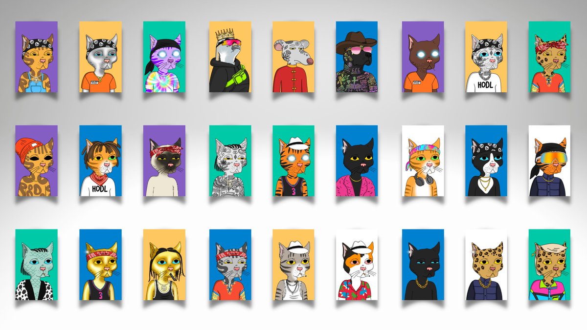 Feeling ever so grateful for what the next few weeks will entail for NFTs!

Excited to finally share everything that we've been working on for building decentralized communities and Web 3.0🗝️⭕💚📷⚡

Happy #Caturday from some of mine &amp; @susanalba_'s <a href="/GutterCatGang/">Gutter Cat Gang</a> collection!!