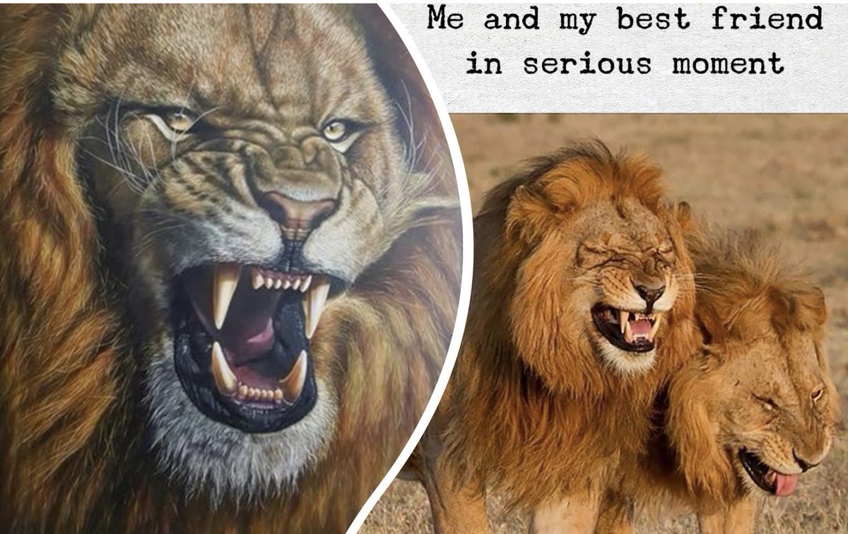 IndiGenBharat's tweet photo. @suku0601 @Remember2ndOct Arey Arey hum #Indigenous #Bharat #ChildrenOfCivilisation hai

We are wounded for millenniums &amp; if anyone pokes our wounds, it may elicit a response😉

Crying Wolf🐺or Marich🦌should know Bharat grew up counting Lions🦁teeth

We’ve #decolonise broke cage to hold them accountable https://t.co/fDXuji8Rci