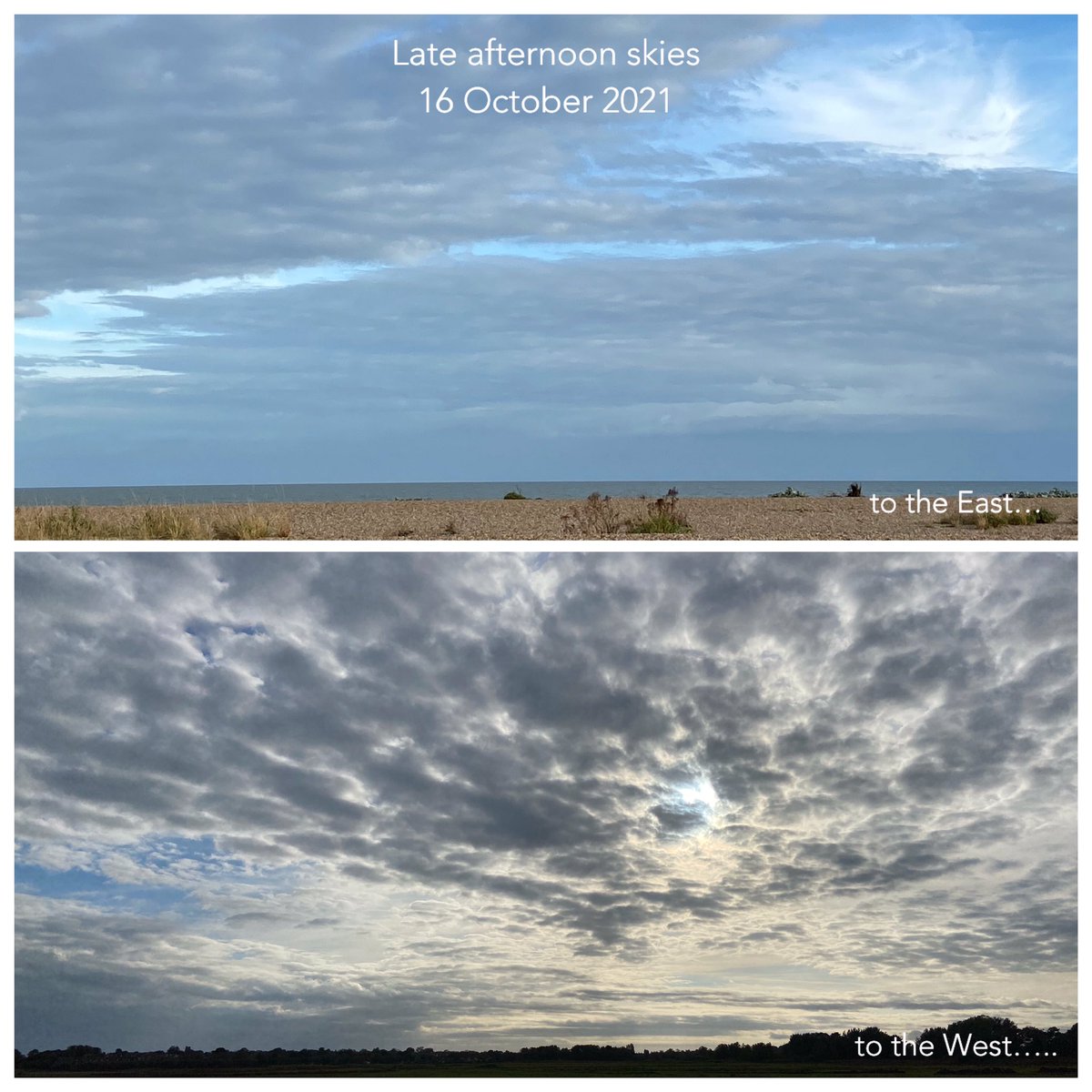 GillBracey's tweet photo. Off east early. Scenic route - missed A14 exit - only been driving route for 20 years🤪. Enjoyed walk this afternoon towards Thorpeness, across #NorthWarren #PermissivePath. Errands on High Street, one pot poussin with 🍋 & rosemary for tea +🍷. Packing up starts again tomorrow🤩 https://t.co/pwqUnZ44Mo