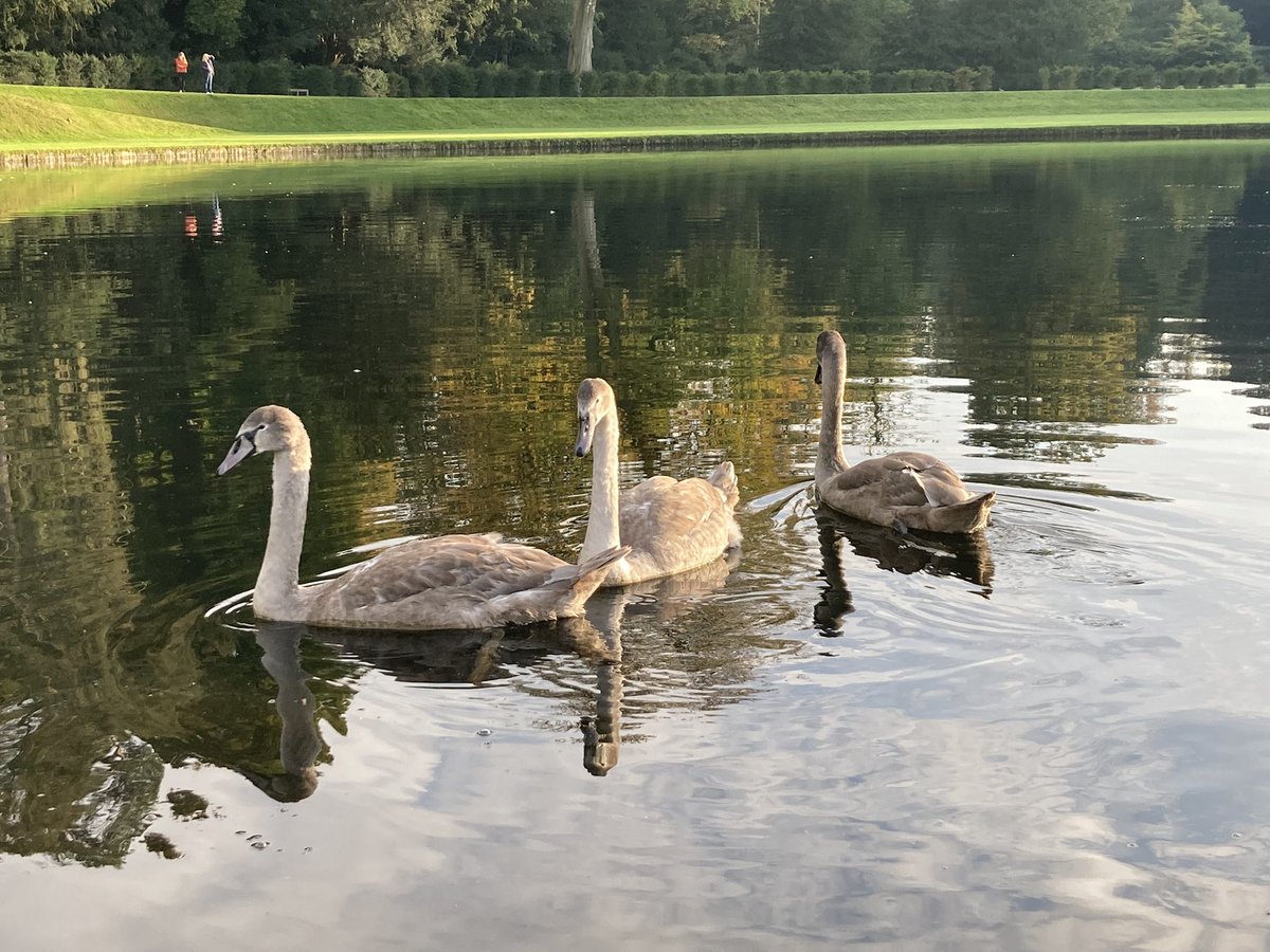 eyecycleblog's tweet photo. Had a lovely afternoon’s walk at @nationaltrust Fountains Abbey today. The light was amazing just before sunset. #yorkshire #fountainsabbey #nature #sunset https://t.co/jYOUASrrkM