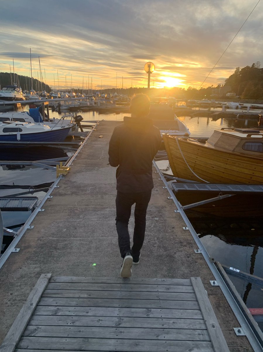 Kristian_HP's tweet photo. Reddet en lomvi fra Smestadkrysset i dag. Oppdaget i kollektivfeltet på vei mot Majorstua. Sikkert tøffe kår i Oslofjorden ved Sjølyst, men definitivt bedre sjanser enn i Smestadkrysset https://t.co/kU1ybmRDgC