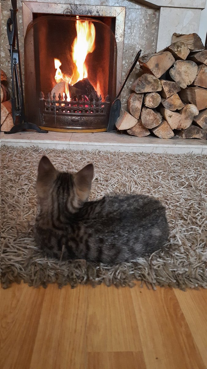 Life's simple pleasures!