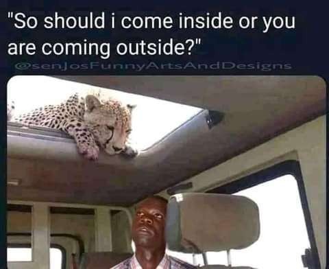 What you gonna do if were you? 
A.Cry
B.Run