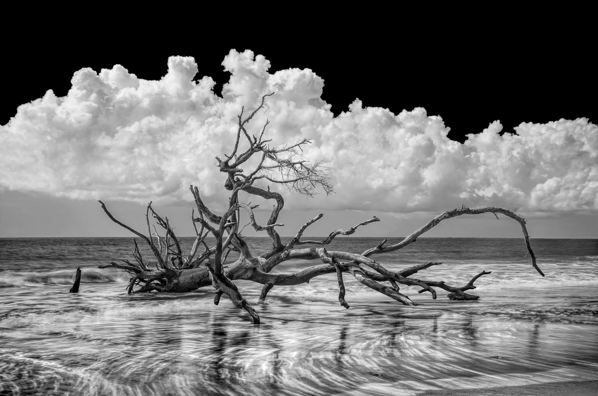 Uncle_BarryV's tweet photo. Void of color the world is reduced to its essence of form and structure. My black and white images are an exploration of this monochromatic world of patterns, shapes, textures and tones, a search for form and texture as found in the natural world #nftphotography #NFTphotographers https://t.co/DqZGNFIgDD