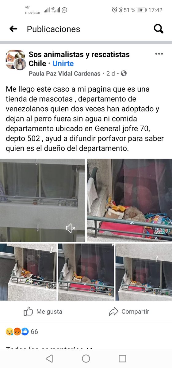 Por favor si alguien vive en ese edificio, este perrito lo dejan afuera día y noche, sin agua y comida
RT
