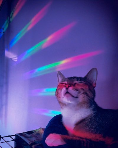 Michael Kurylo tweet media