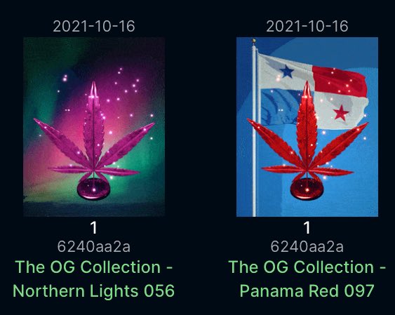 DontWorryBrro's tweet photo. Favorite #indica and #sativa set 😍🔥 great job @Cardano_420 🤙💨 #CardanoNFT #CNFT #Cardano https://t.co/7rvIU1HJBm