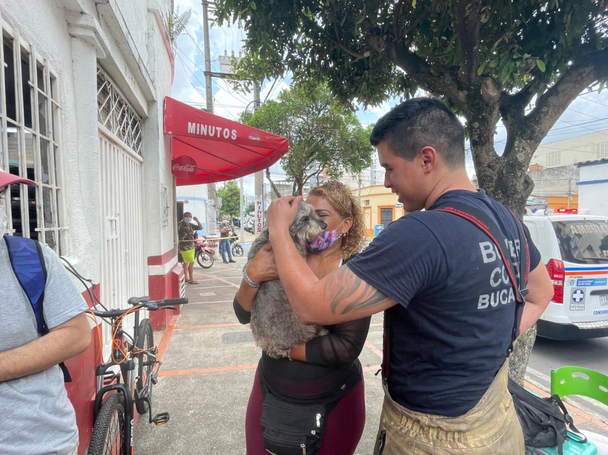 RCNBga's tweet photo. #RCNRadio | Una labor heroica realizó @BomberosBGA en los trabajos efectuados para controlar un grave incendio registrado en una fundación de rehabilitación de la capital santandereana, donde además rescataron a Lulú, una canina que se encontraba al interior del lugar. https://t.co/qbImeHbt5c