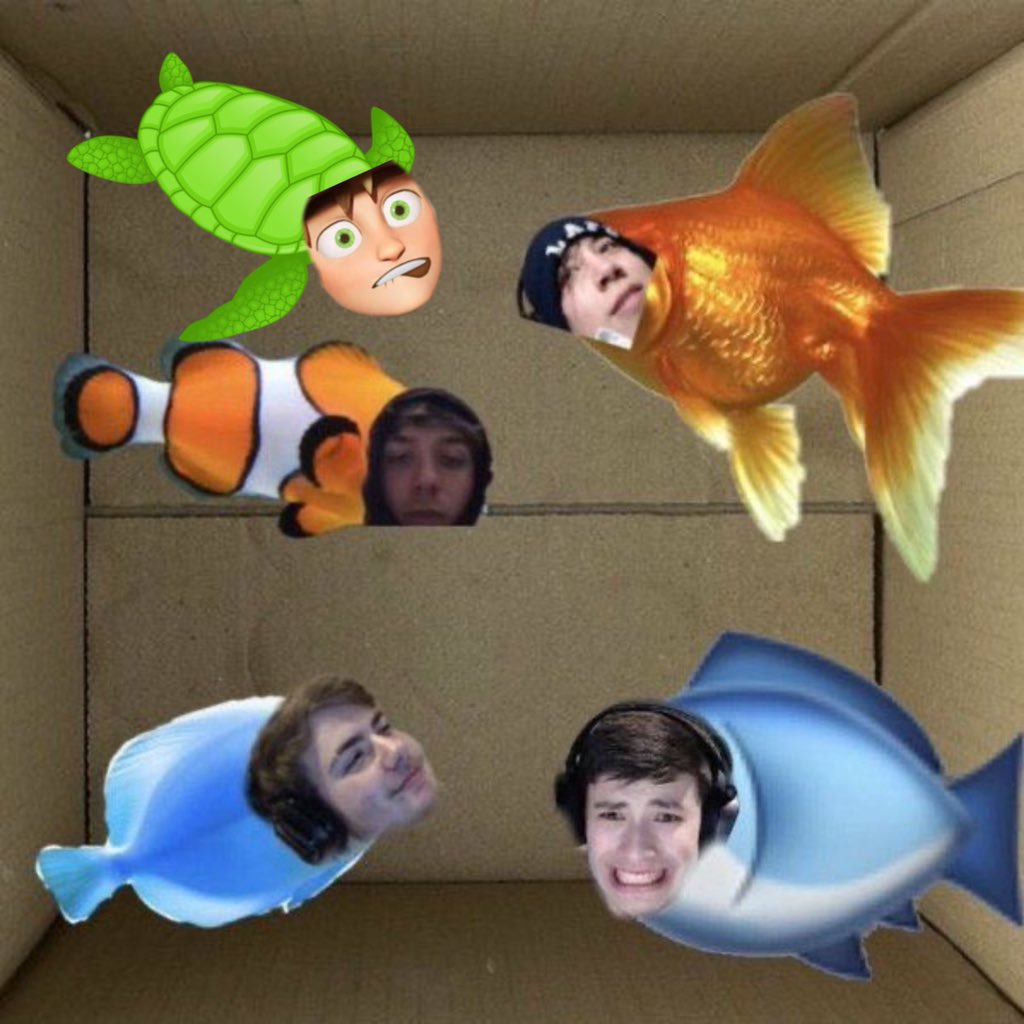CallMeEmx's tweet photo. ︎ ☻︎i decided to add dream to this
fabulous picture for -
꧁ #crewboystwtselfieday ꧂
𓆉𓆉𓆉𓆉𓆉𓆉𓆉𓆉𓆉
☞︎RT’s are appreciated☜︎
꧁ #boxedlikeafish ꧂ https://t.co/DiVFcAB13c