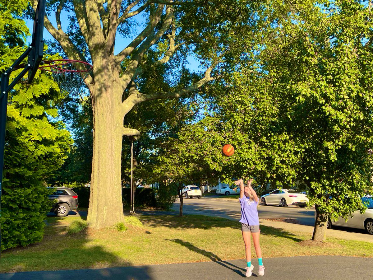 Carolyn Lundy tweet media