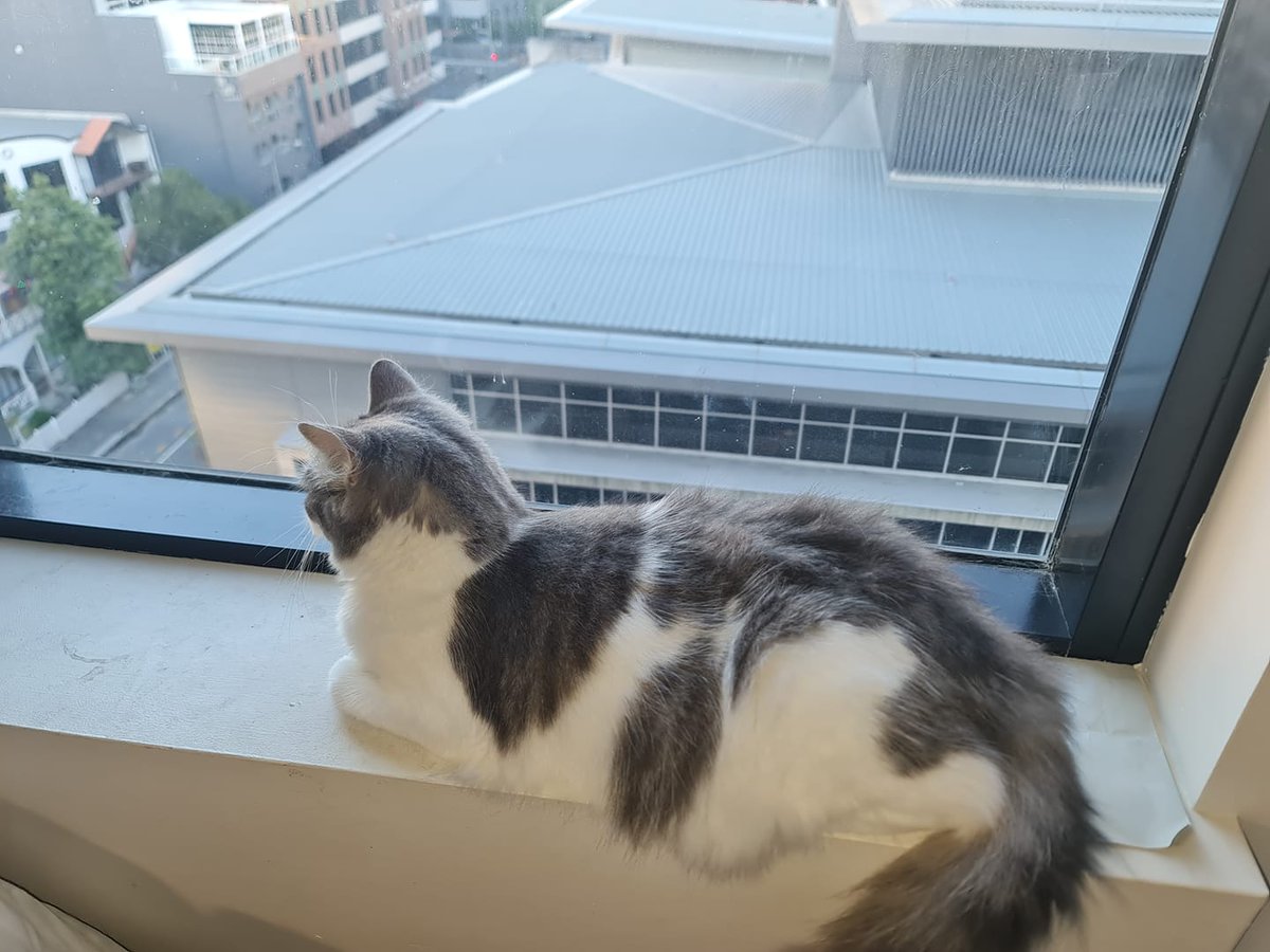 Good Morning Brisbane Says Oakley, Oakley is planing her take over !!