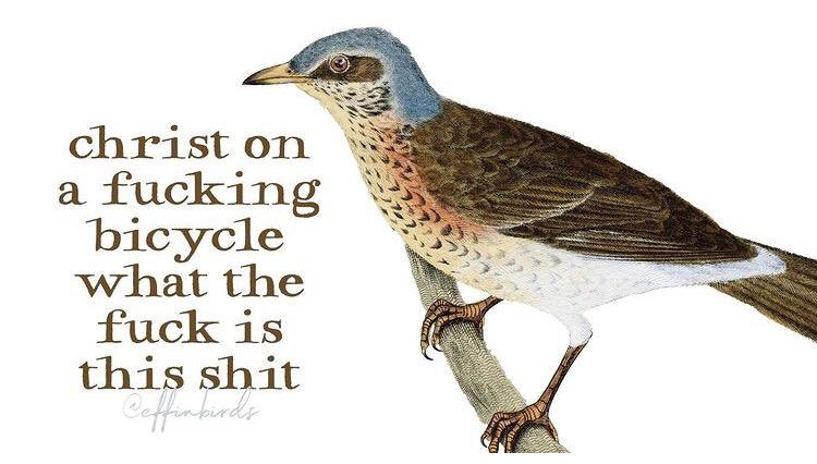 McHannington's tweet photo. @ric_cole https://t.co/lSIxVysZvM