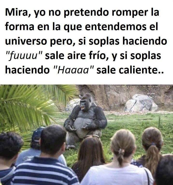 BigVanCiencia's tweet photo. No le falta razón https://t.co/4tPmou5Gfj