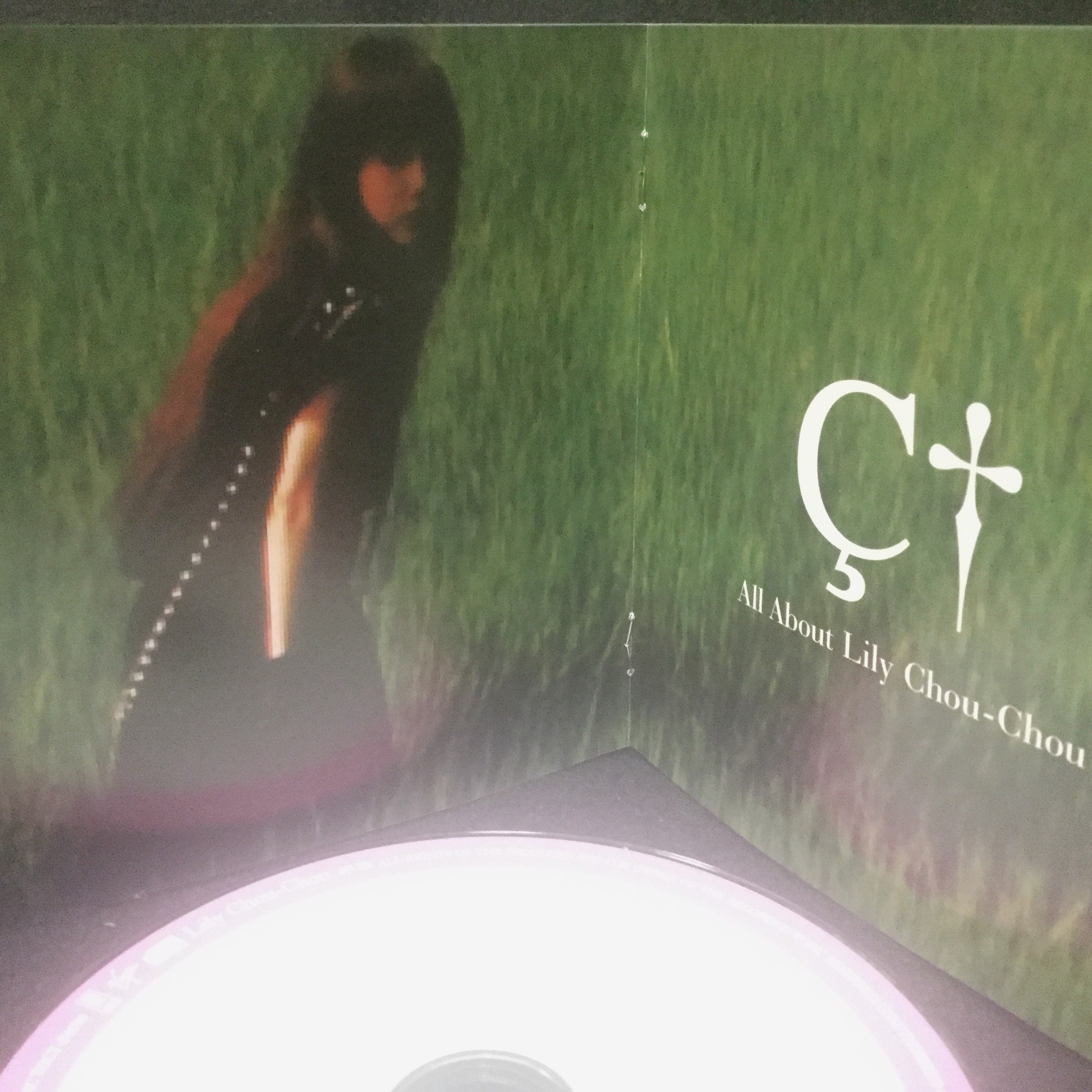 Youcharist 25th Anniversary Lily Chou Chou リリイ シュシュ リリイ シュシュのすべて オリジナル サウンドトラック アラベスク October 17th 01 呼吸 Octobe 17th 01 物語上の発売日は1999年7月21日 Lilychouchou リリイ