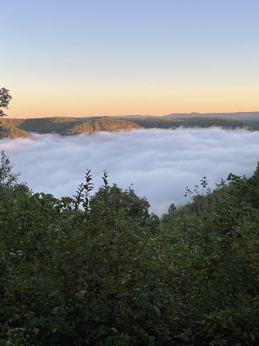 One of the most peaceful places to dream and write. #amwriting #writercommunity