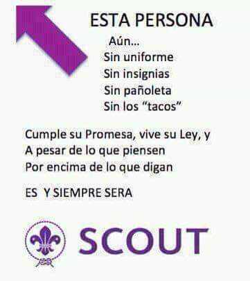 Hans Font 🇵🇷 tweet media