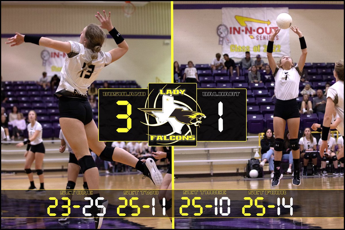 BushlandVolleyball tweet media