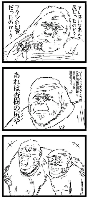 ライブレポです 