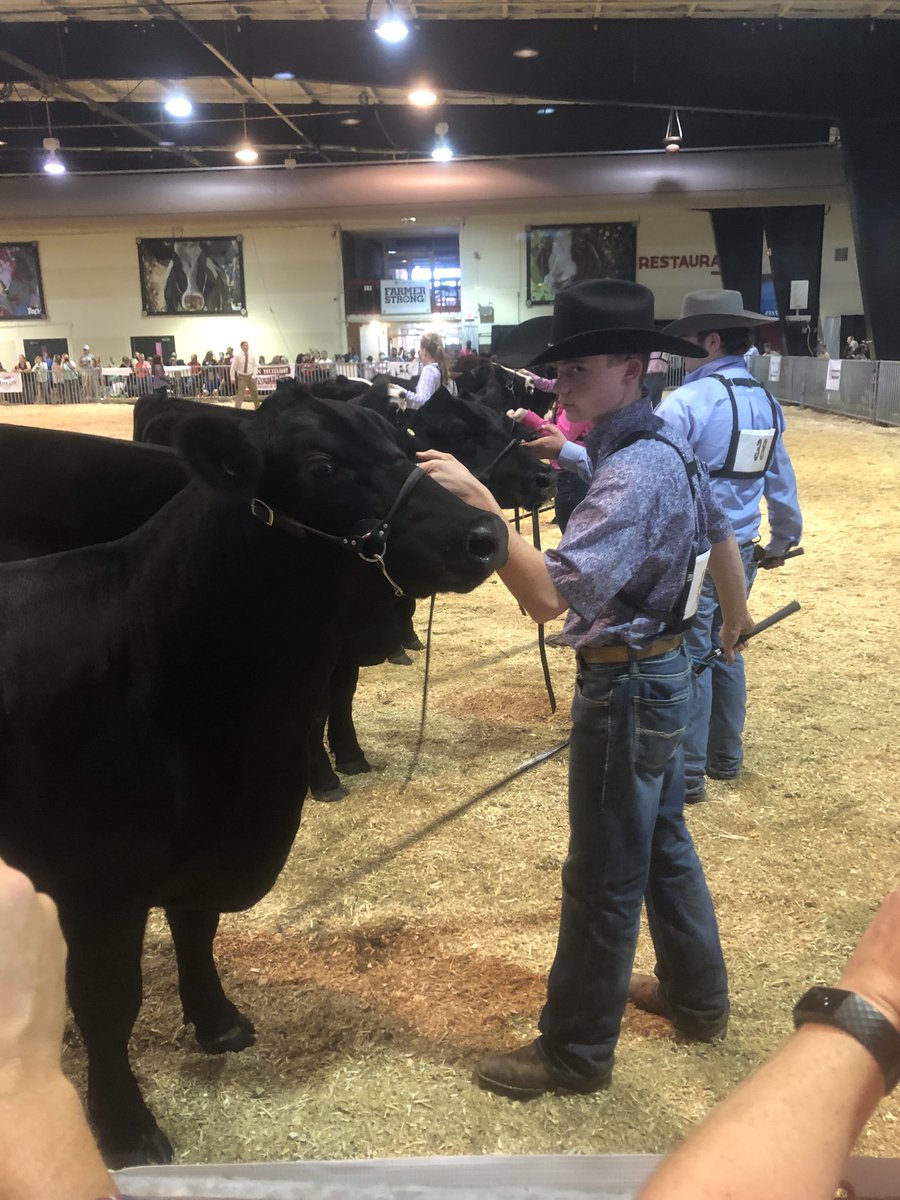 SampsonEarlyCol's tweet photo. Junior Shane Kendall is shown here at NC State fair showing cattle!  Nice job Shane! https://t.co/T3Wv38Y375