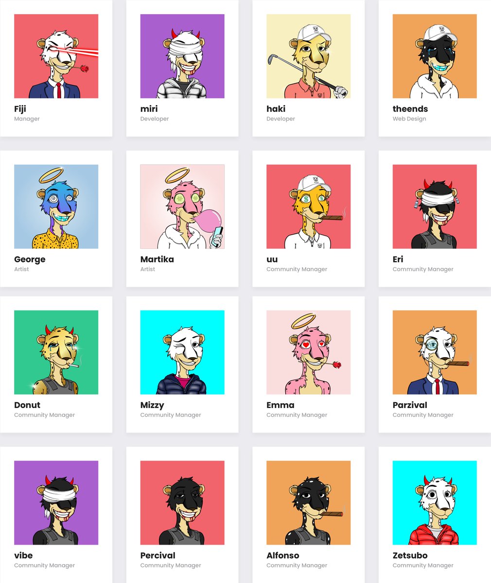 Meet the Chad Cheetah Country Club Team!🙌
(Click to expand)

A passionate group of 16 friends from across the globe working together to build the Country Club.

A blockchain game, unique perks, physical merch, events, what else could you ask for?

#ChadCheetahs #NFTs #SolanaNFT