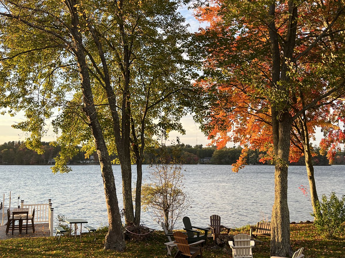 nhjoshjudge's tweet image. Our happy place. 😊