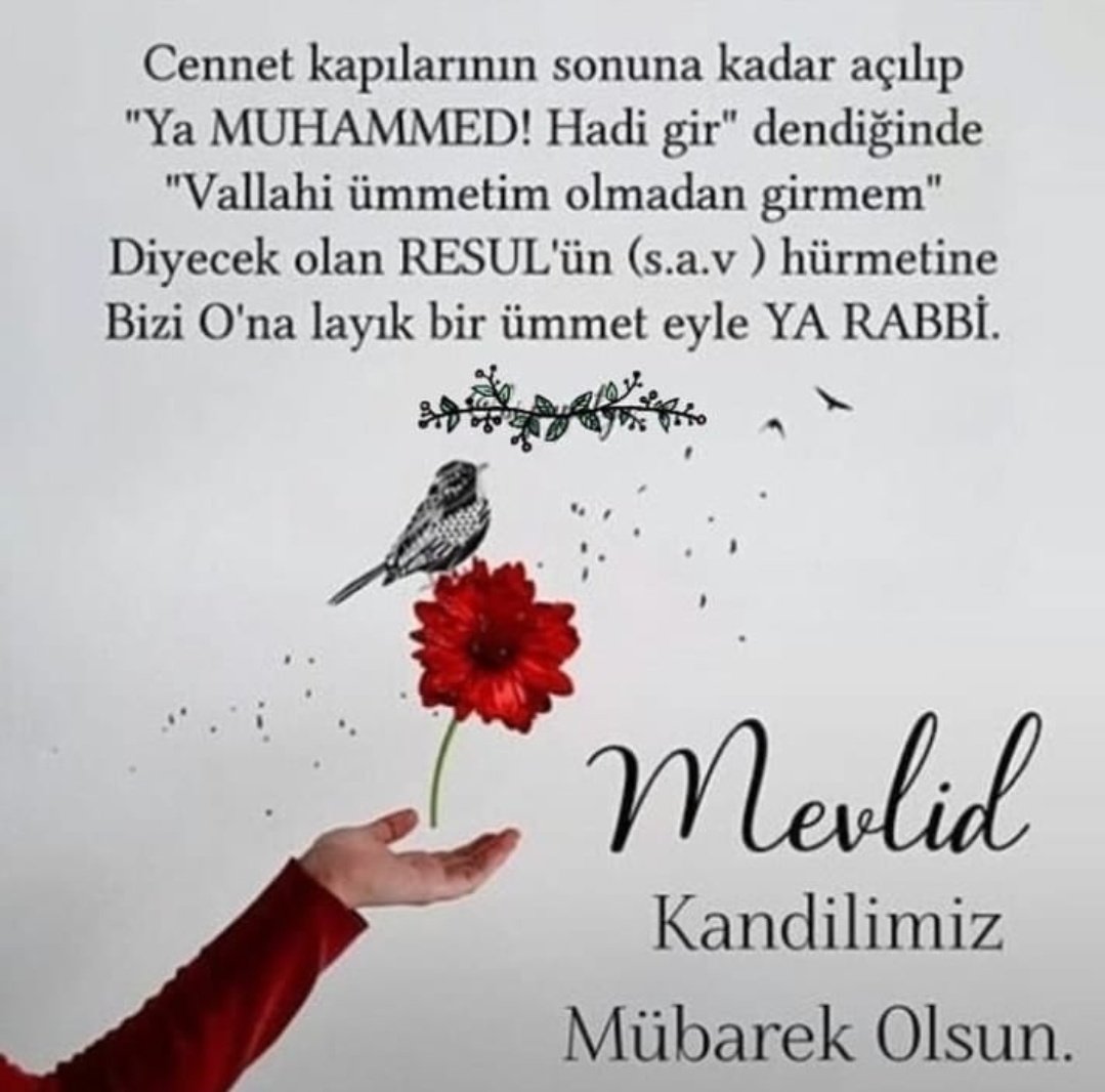 BirsenKasap's tweet photo. 🌷Mevlid Kandilimiz Mübarek  Dualarınız kabul, nice nice Kandillere erişmek dileğiyle, Hayırlara vesile olsun inşallah🤲Vefat etmiş sevdiklerimizin kabirleri nur mekanları cennet çiçek olsun, dualarla uyusunlar inşallah😞🤲🤲Allaha emanet olun 🤲🤲🌷🇹🇷🌷🇹🇷🌷🇹🇷 #MevlidKandili https://t.co/BSywYN0wVD