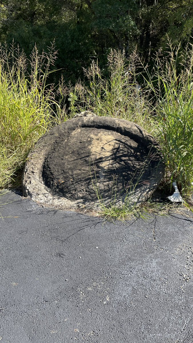 barbiedoll_eyw's tweet photo. Huge dinosaur footprint here on #tentriplexranch ๐ฑ๐ฆ https://t.co/G9FeZd4KV7