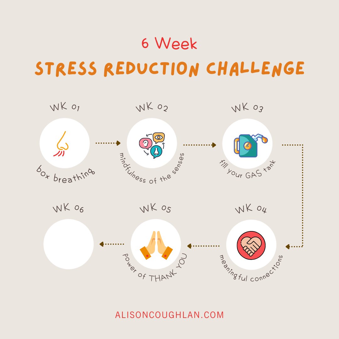 This week's technique is a simple act of kindness in a weary world that can bring benefit to you and the recipient of your kindness. This can ease the load for us all and is very achievable in 60 to 90 seconds or even shorter moments throughout your day. 

#stressmanagement