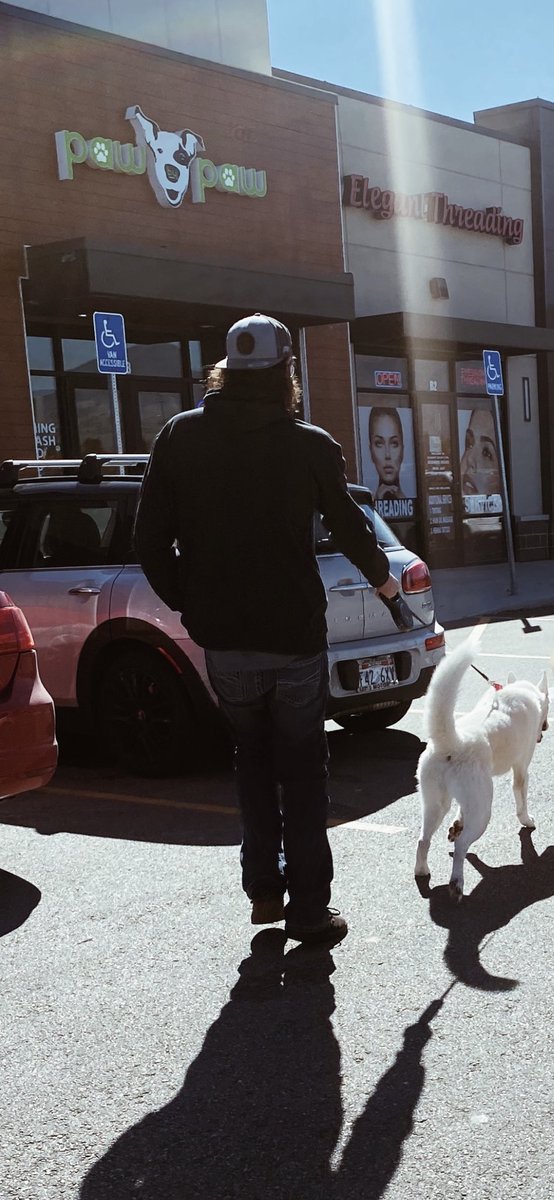 alexrokus's tweet photo. This damn dog has my heart 🤍🥺 https://t.co/OgCPSL0mmj