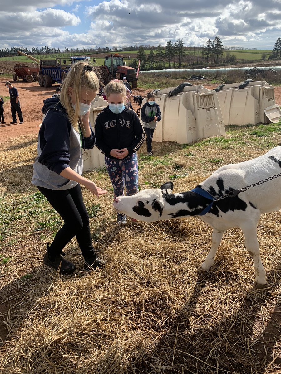 I’ve been waiting a long time for this day… Bella’s first 4-H event with the Freetown Harmony 4-H club. It was awesome!  #agawareness #farmtour #beachsweep #seaglassart @4H_PEI @4HCanada #learntodobydoing 🍀