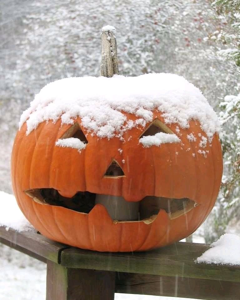 What do you think about Halloween? 
Only 15 days left until Halloween.