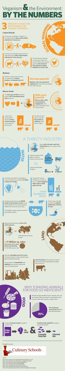 LoveIsNeededNow's tweet photo. Just tossing these Plant-Based vs Meat-Based infographics out there because I find them interesting.
(Click each one to expand, as they are pretty tall images)
#vegetarian #vegan #vegetariansim #veganism #infographic https://t.co/gb1VS9ab5u