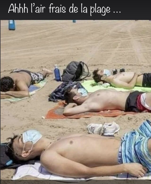 Emvisocr's tweet image. 