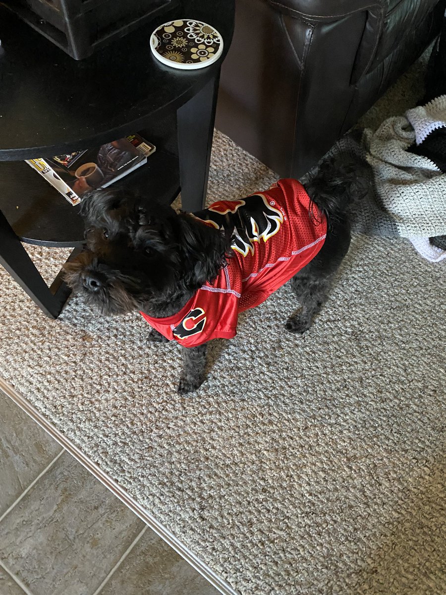 ShannonMac's tweet photo. Go Flames Go! @NHLFlames https://t.co/If4smMyDY5