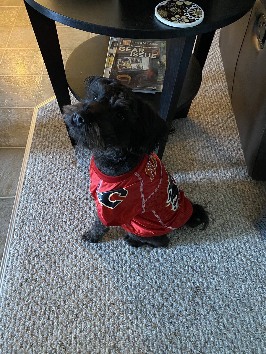 ShannonMac's tweet photo. Go Flames Go! @NHLFlames https://t.co/If4smMyDY5