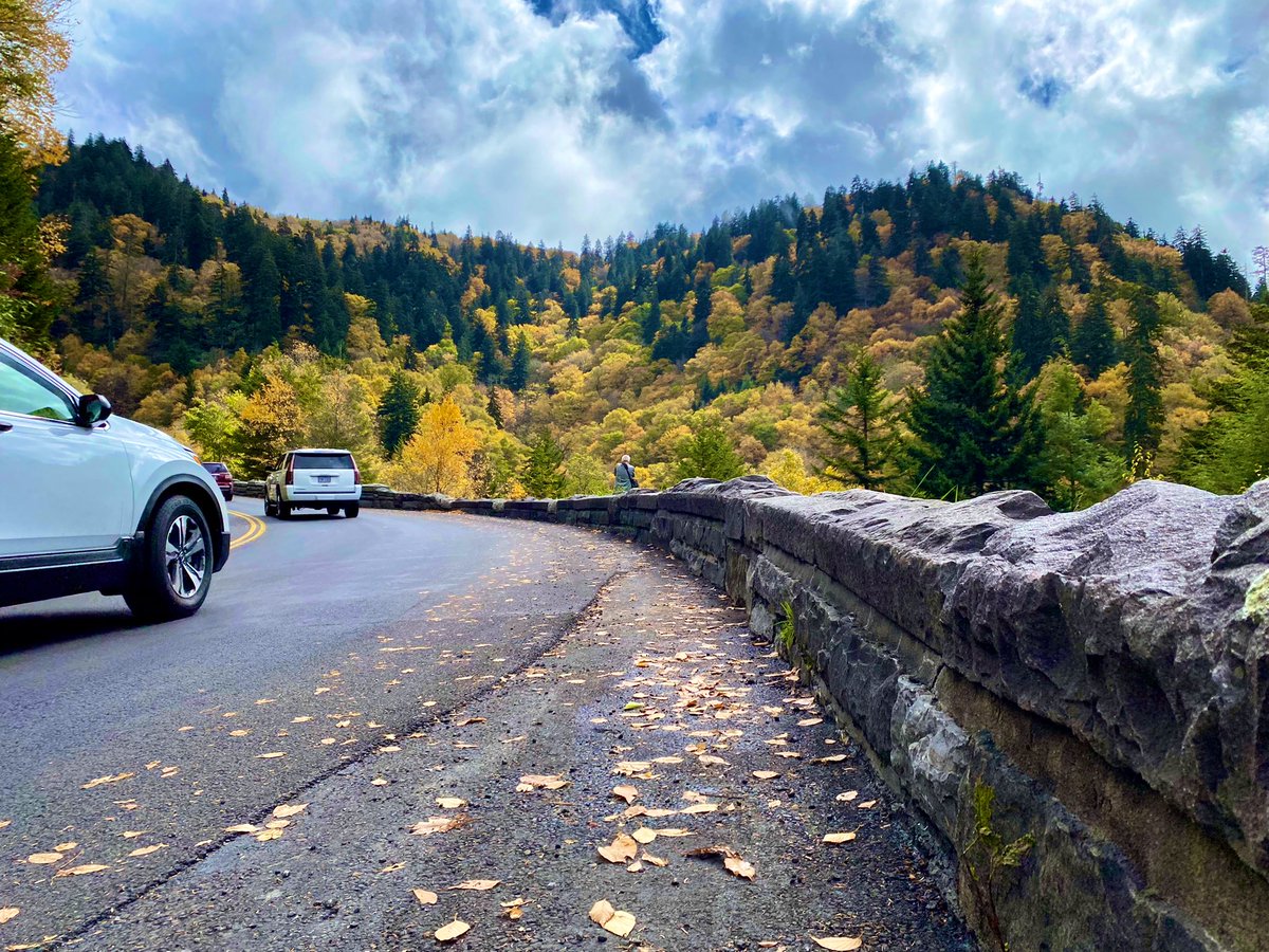 timrobotics's tweet image. Rocky top fall 2021