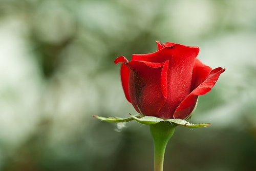 Salât ü selâm Sana ey Allah'ın sayısız payelerle teşrîf buyurduğu!
#MevlidKandili