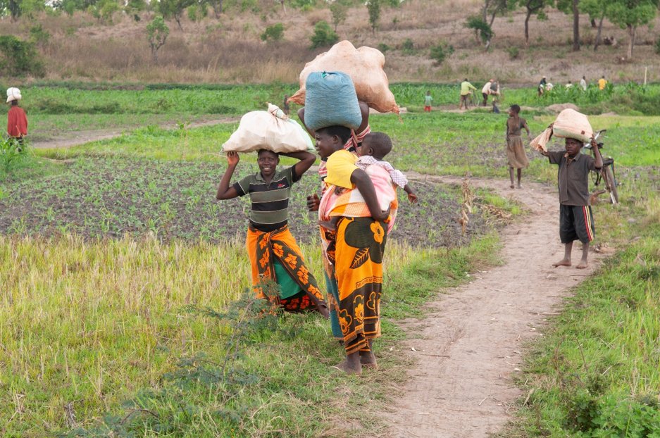 United Nations Peacebuilding and Peace Support tweet media