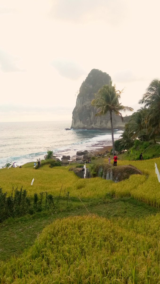 salifsafa's tweet photo. Pagi di 
📍Pantai Pangasan Pacitan https://t.co/LCxJvdFETA